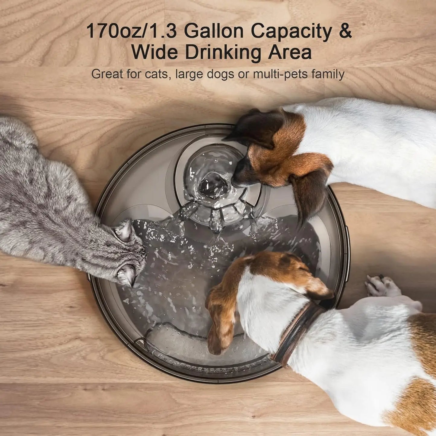 170oz/1.3Gallon/5L Automatic Pet Water Dispenser