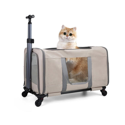 Pet Trolley Transport Box with wheels & safety belts